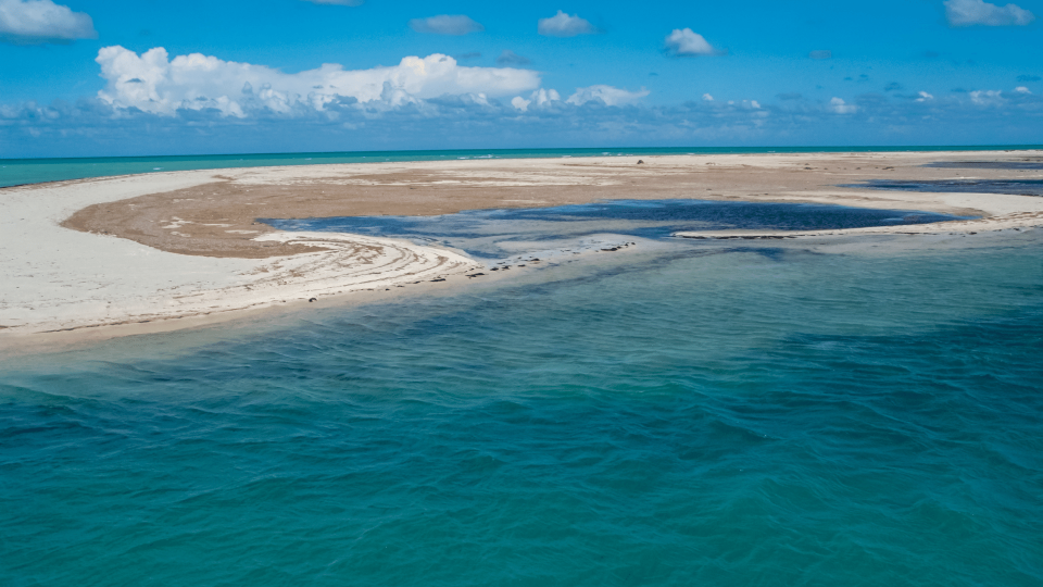 DJERBA - Lugares limitados!!