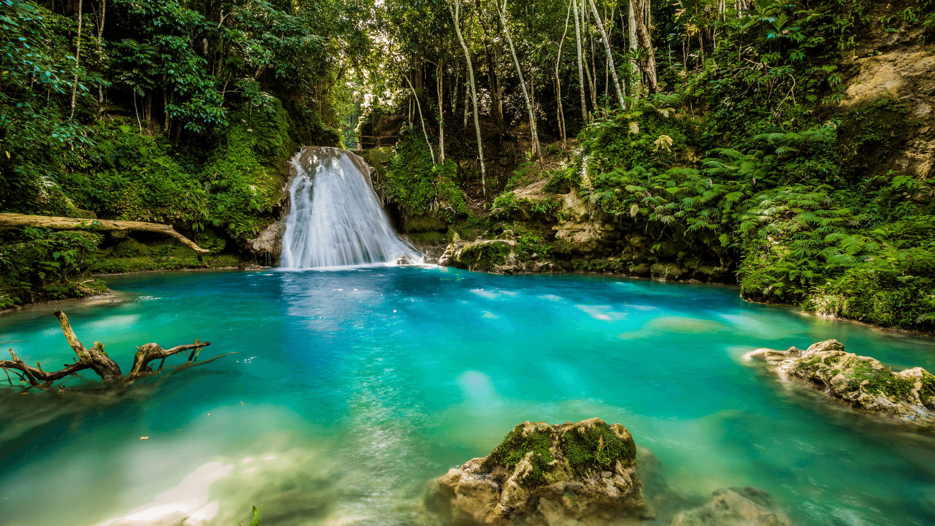 Verão na JAMAICA - Voo direto de Lisboa!