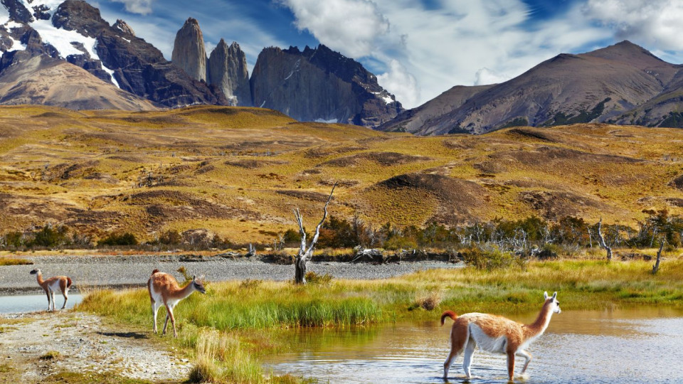 Patagónia de Sonho